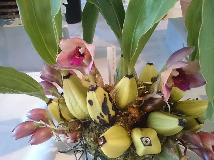 f:id:jerich:20180315233536j:plain