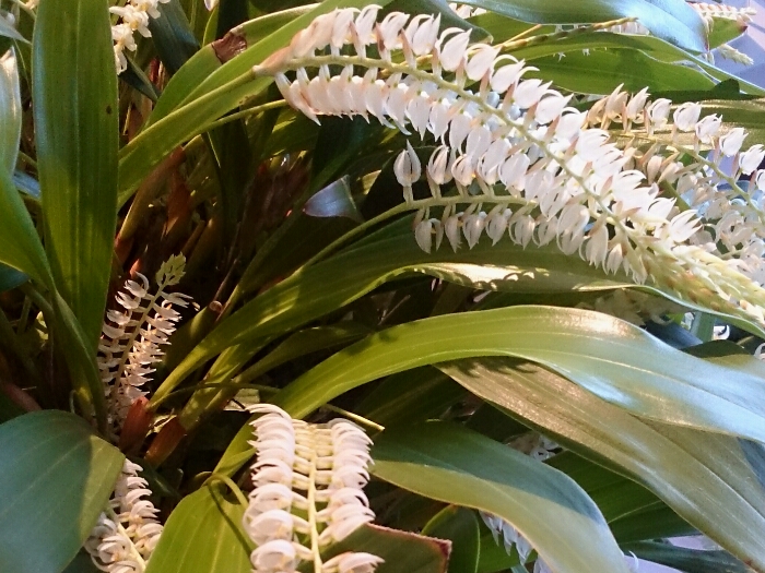 f:id:jerich:20180315233541j:plain