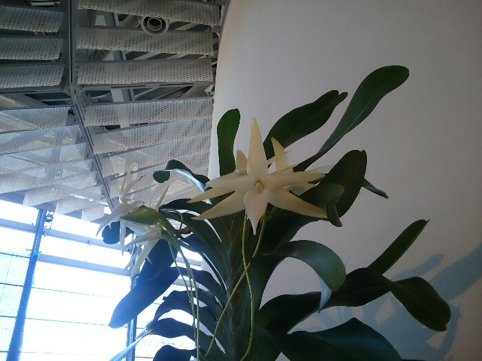 f:id:jerich:20180315233747j:plain