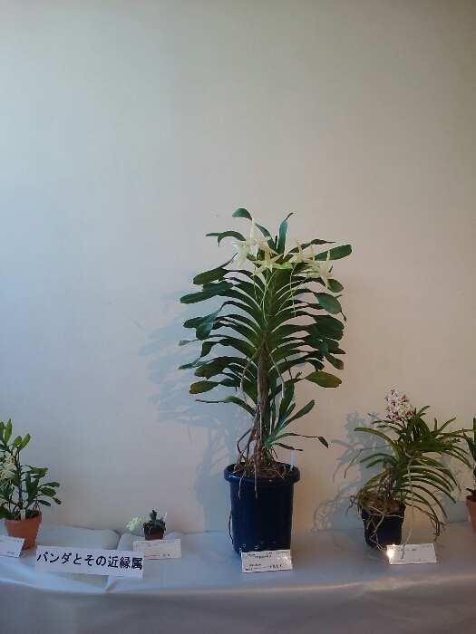 f:id:jerich:20180315233750j:plain