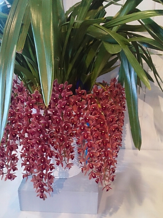 f:id:jerich:20180315233753j:plain