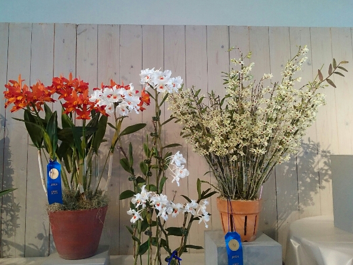 f:id:jerich:20180315233756j:plain