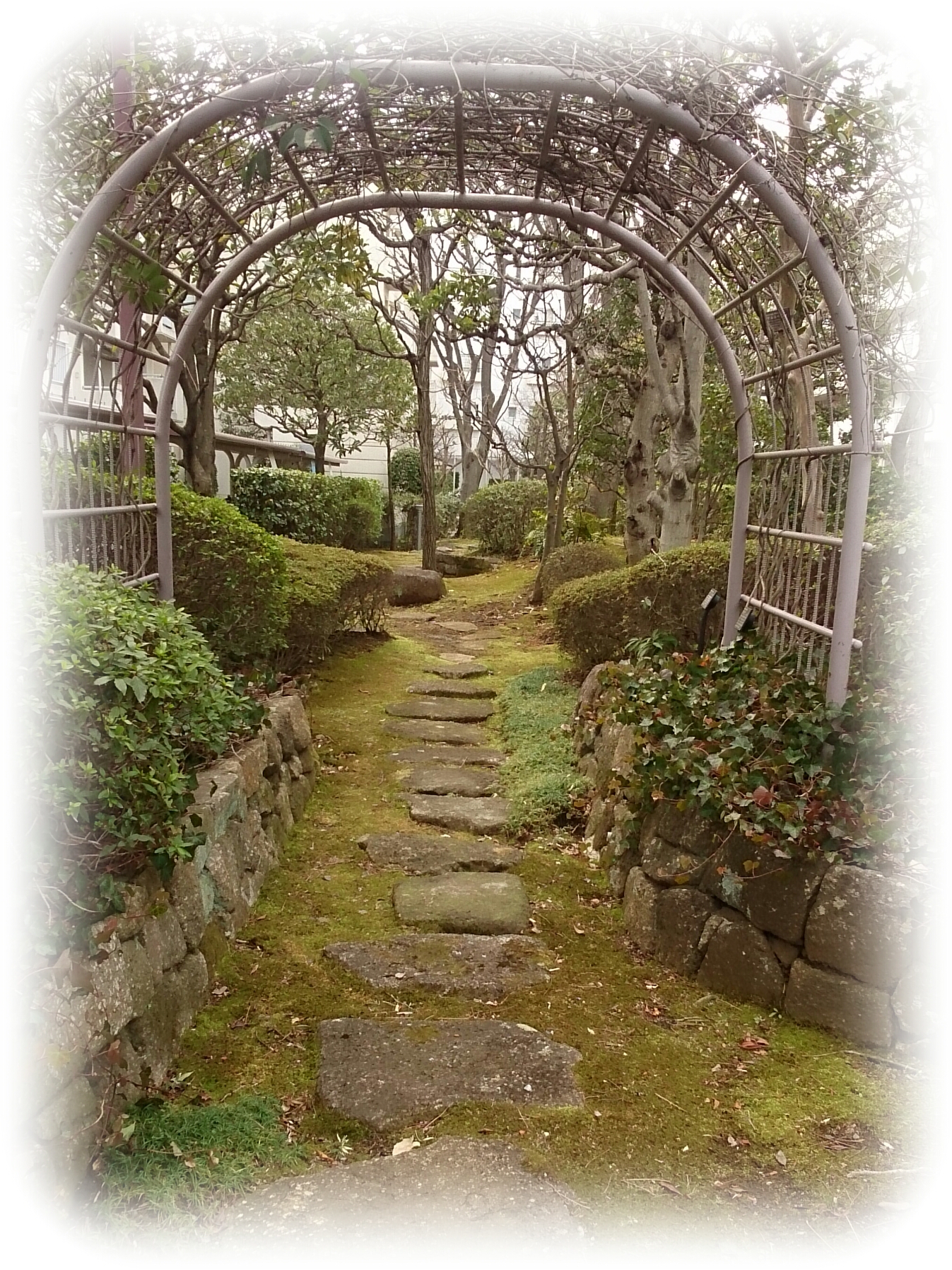 f:id:jerich:20180316235117j:image