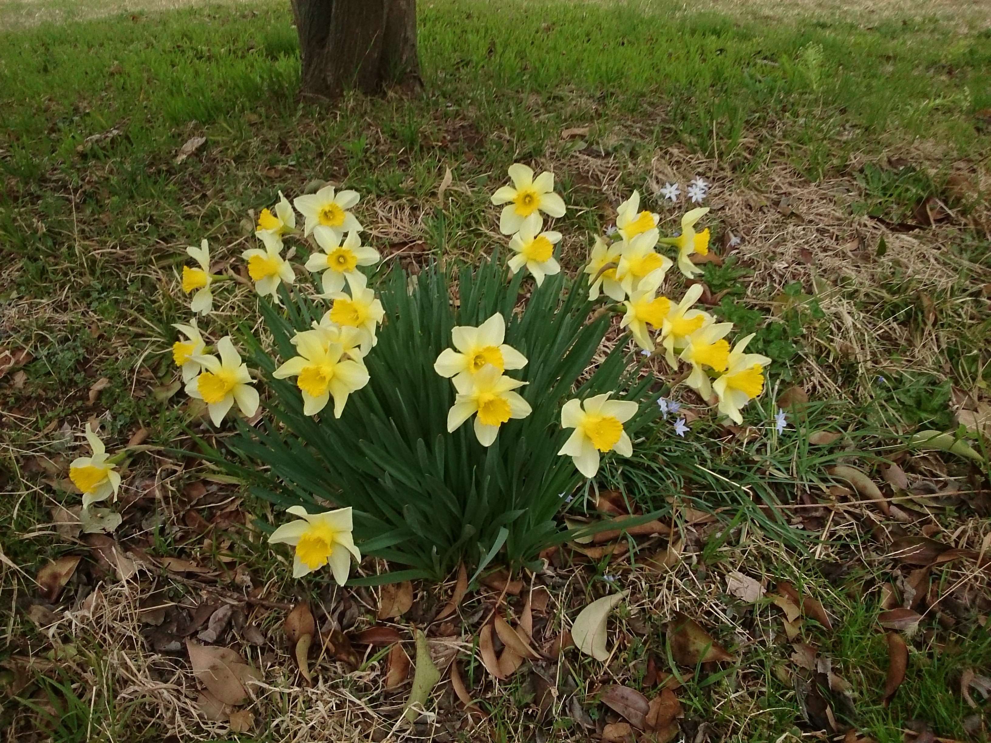 f:id:jerich:20180325034125j:image