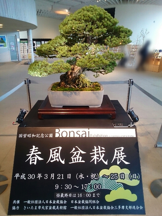 f:id:jerich:20180326233955j:plain f:id:jerich:20180326233955j:plain