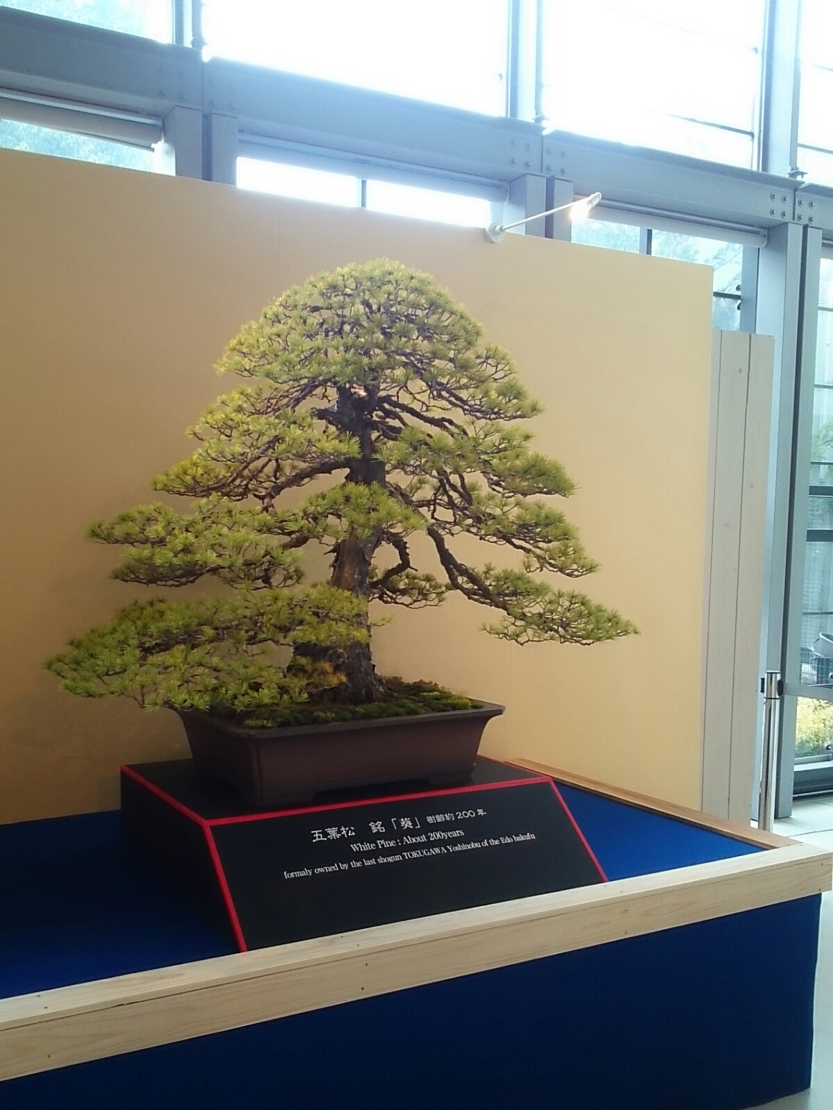 f:id:jerich:20180326234009j:plain f:id:jerich:20180326234009j:plain