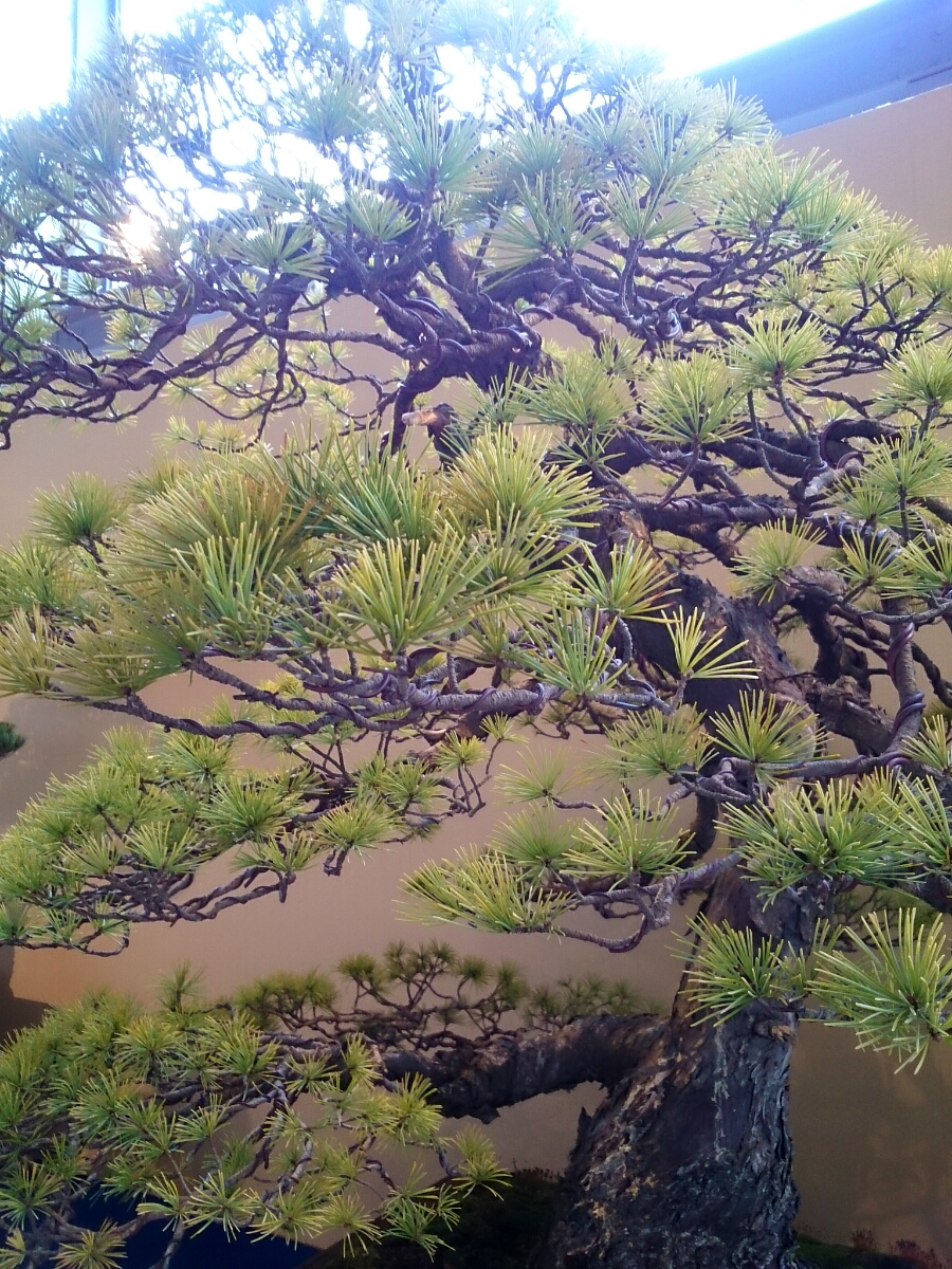 f:id:jerich:20180326234248j:plain f:id:jerich:20180326234248j:plain