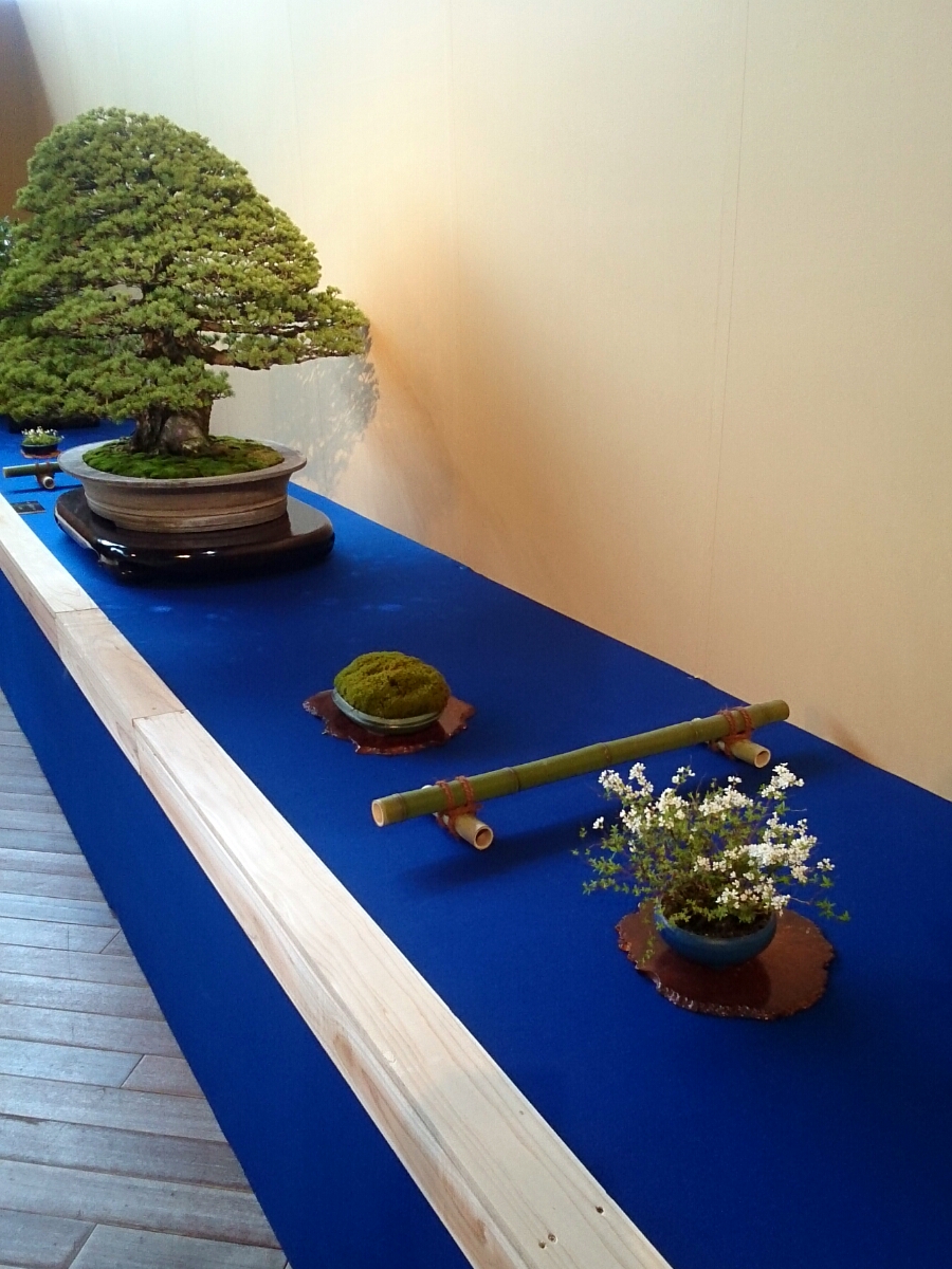 f:id:jerich:20180326234258j:plain f:id:jerich:20180326234258j:plain