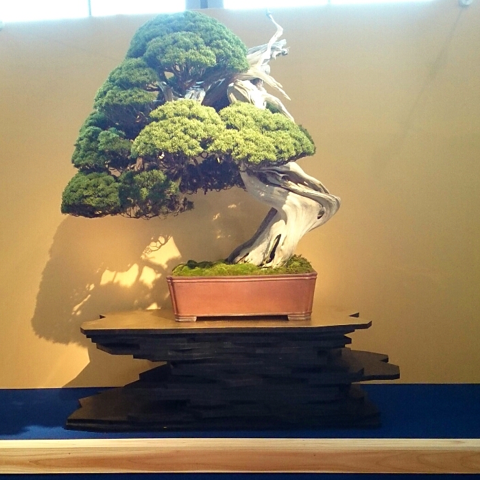 f:id:jerich:20180326234303j:plain f:id:jerich:20180326234303j:plain