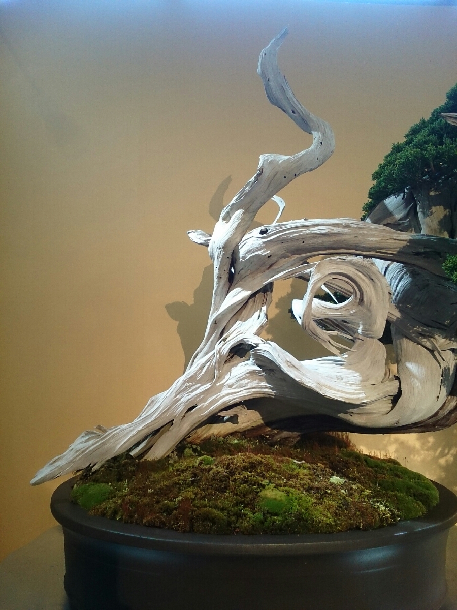 f:id:jerich:20180326234545j:plain f:id:jerich:20180326234545j:plain