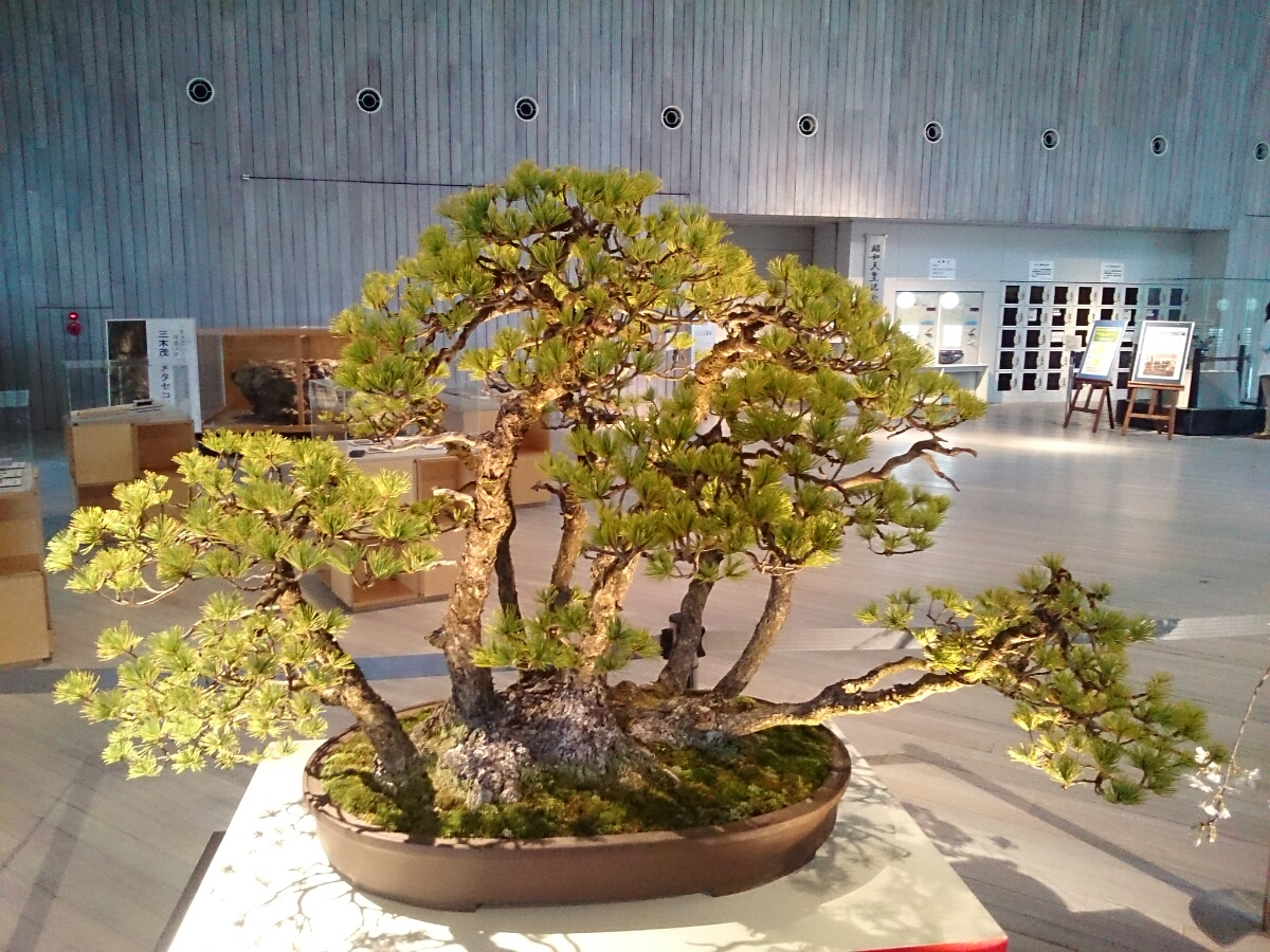 f:id:jerich:20180326234549j:plain f:id:jerich:20180326234549j:plain