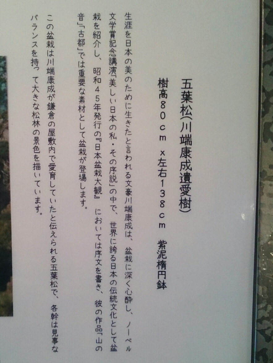 f:id:jerich:20180326234552j:plain f:id:jerich:20180326234552j:plain