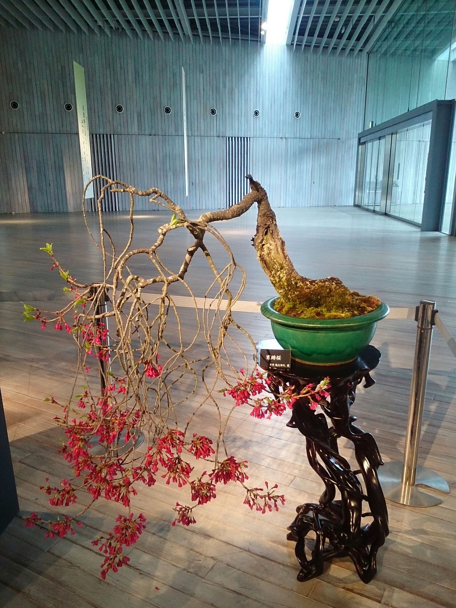 f:id:jerich:20180326234556j:plain f:id:jerich:20180326234556j:plain