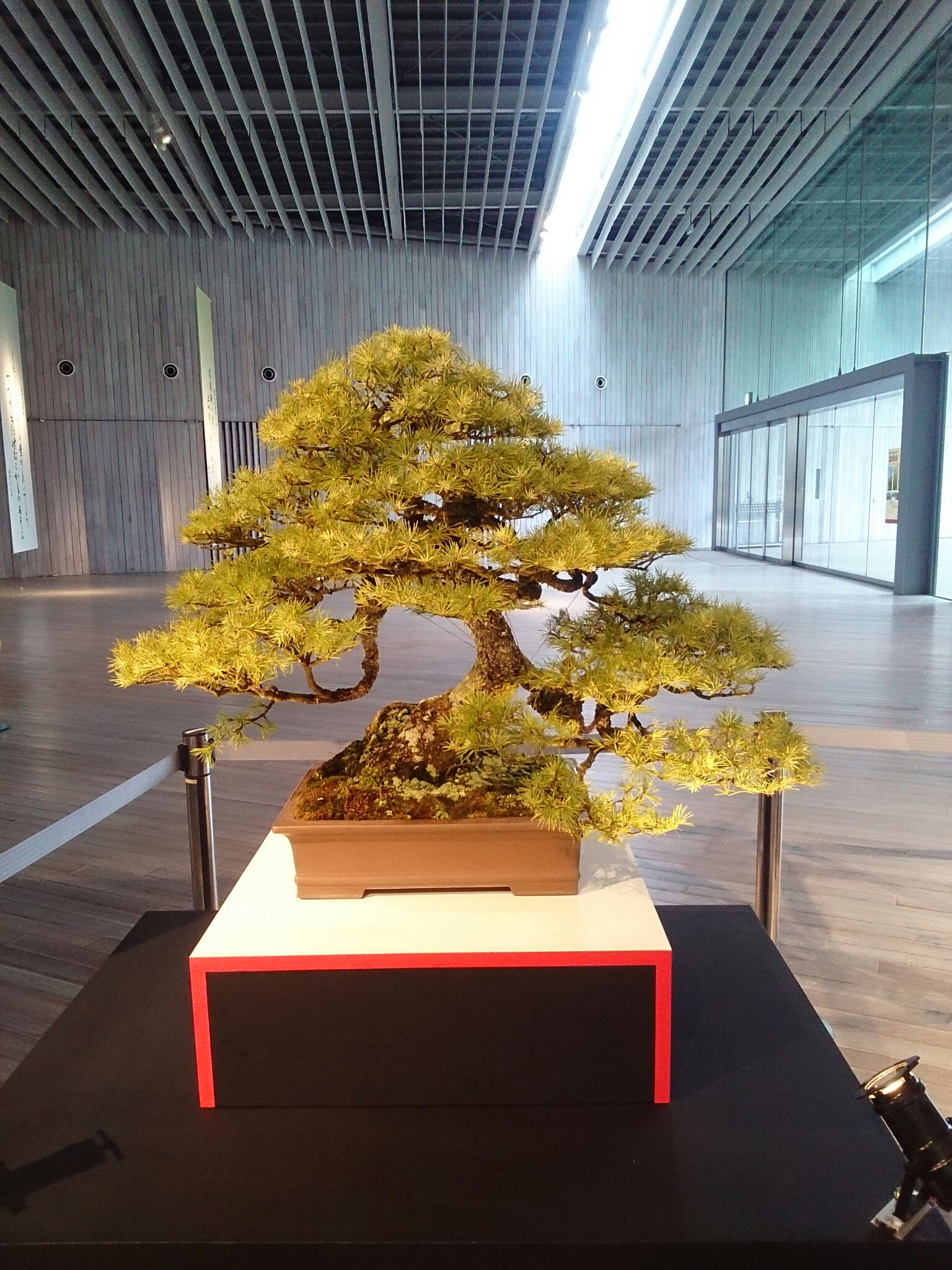 f:id:jerich:20180326234601j:plain f:id:jerich:20180326234601j:plain