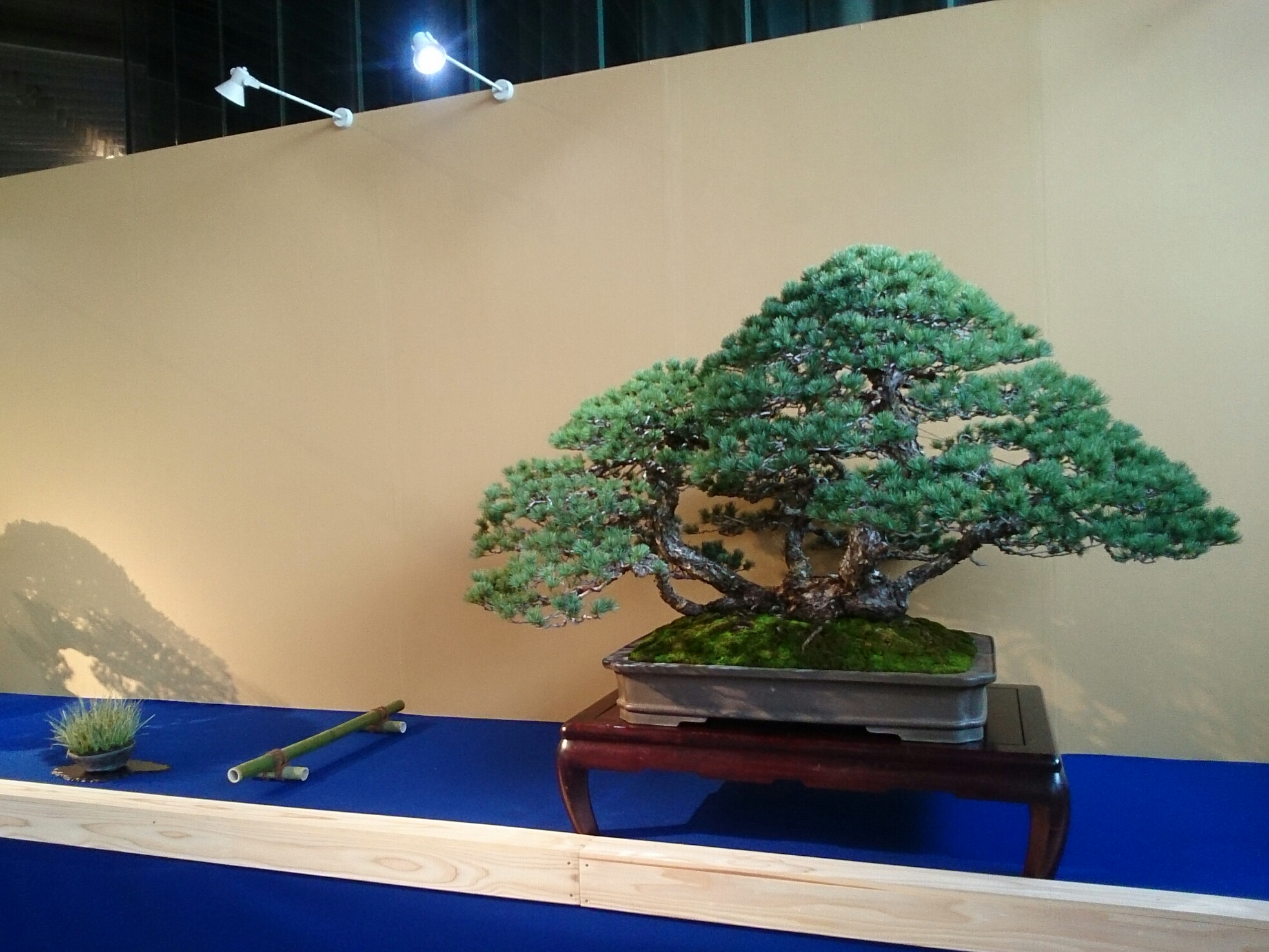 f:id:jerich:20180328012521j:image