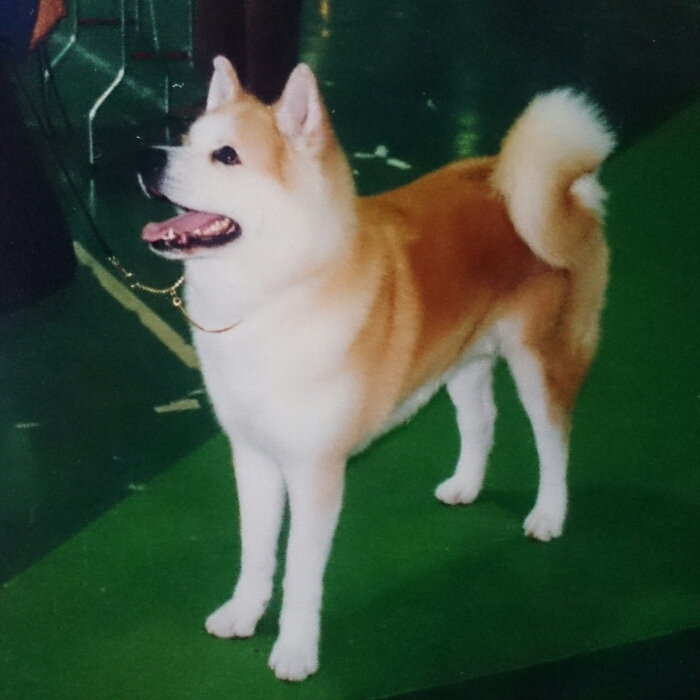 f:id:jerich:20180402002949j:plain