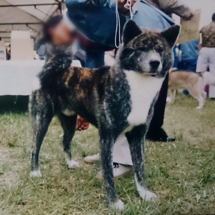 f:id:jerich:20180402002955j:plain