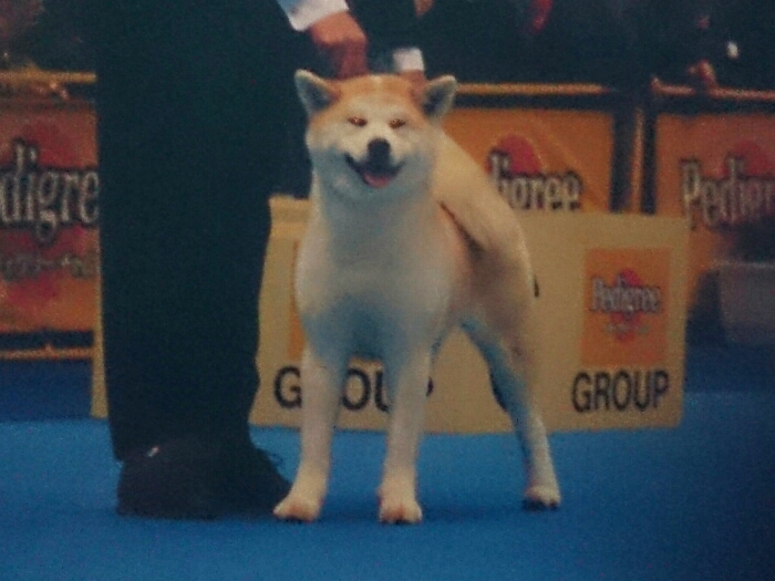 f:id:jerich:20180402002959j:plain