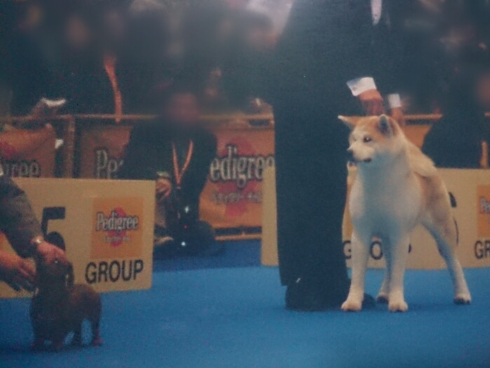 f:id:jerich:20180402003100j:plain