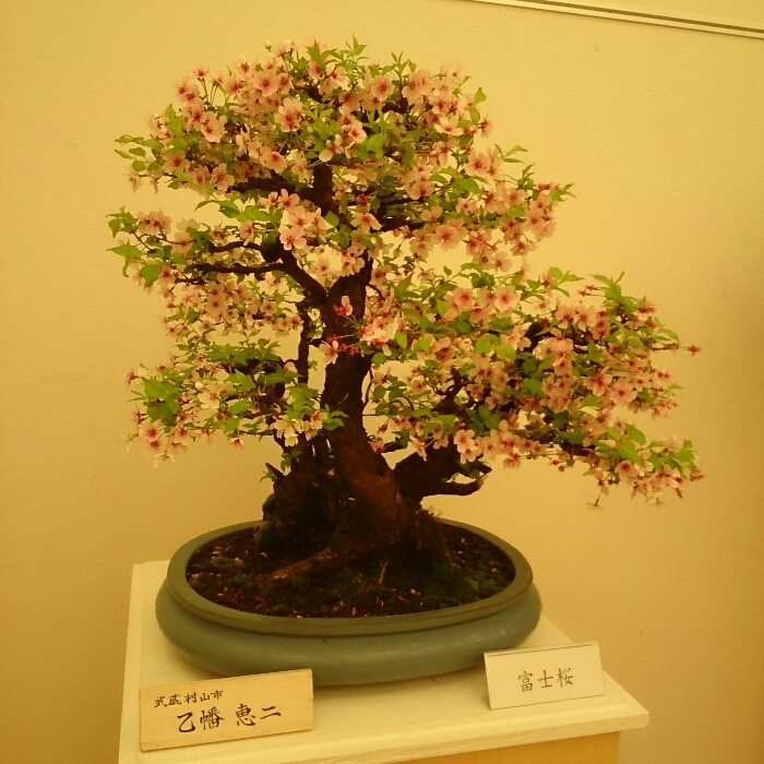 f:id:jerich:20180403001159j:plain