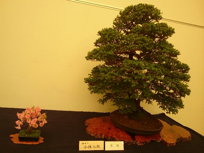 f:id:jerich:20180403001202j:plain