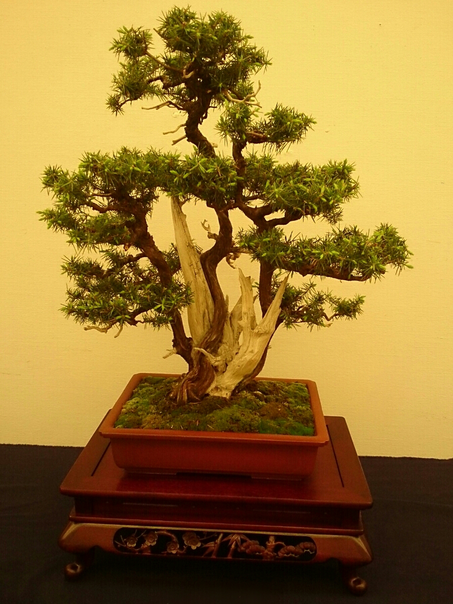 f:id:jerich:20180403001651j:plain