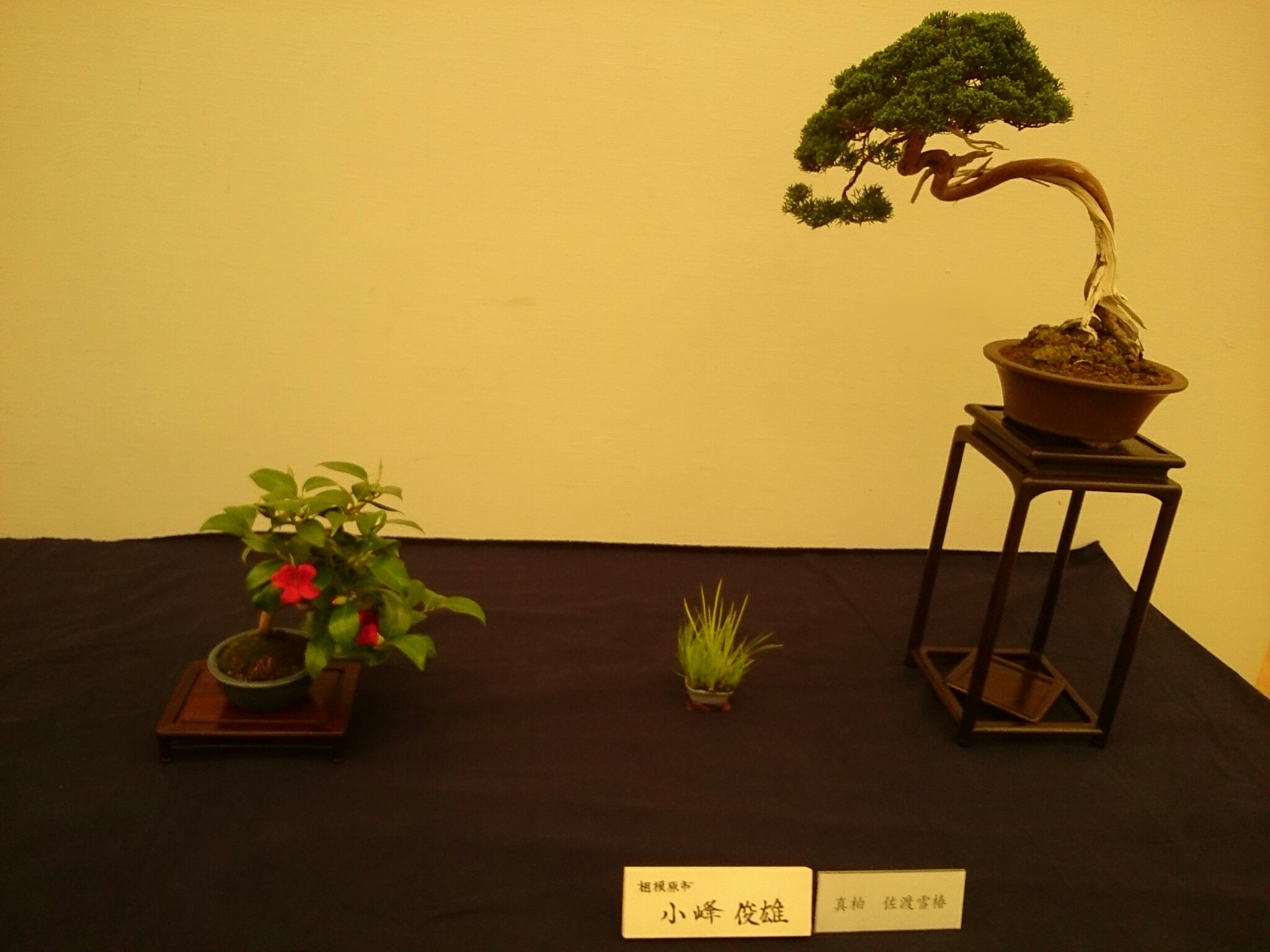 f:id:jerich:20180403001657j:plain