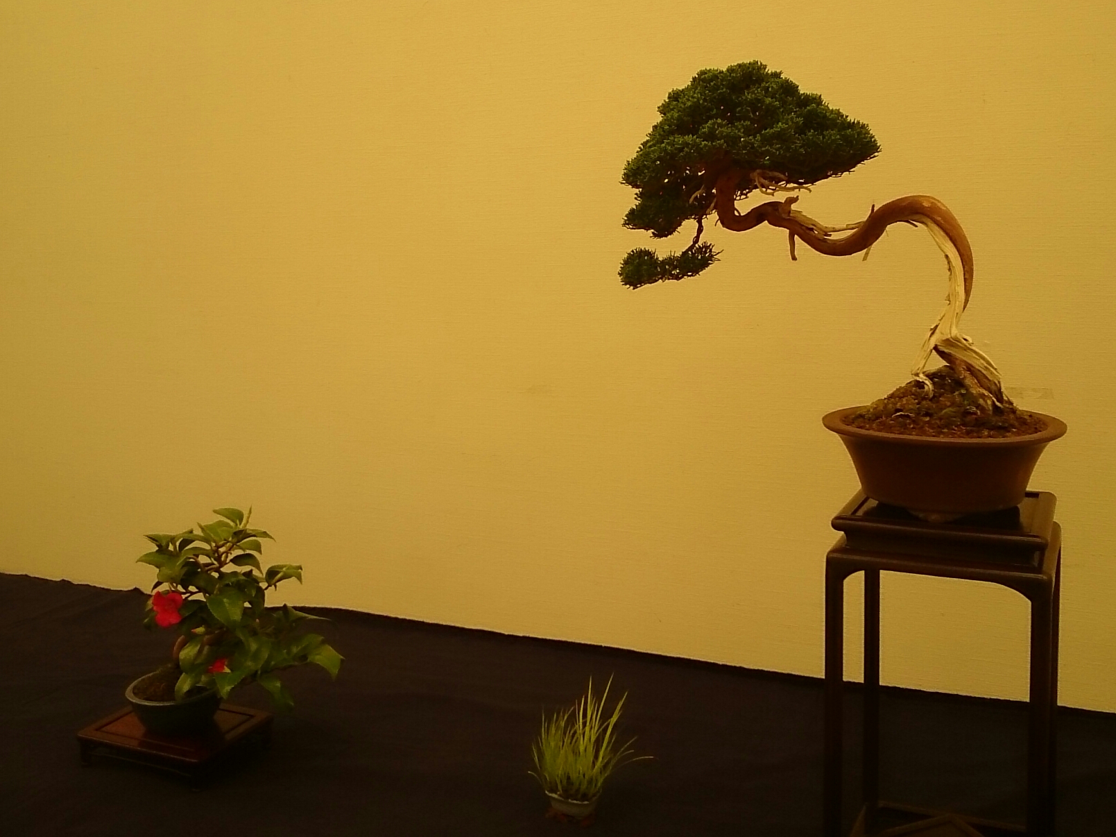 f:id:jerich:20180403001702j:plain