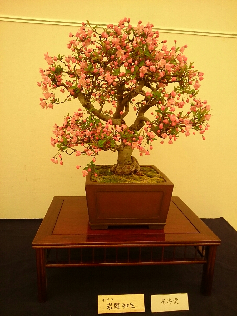 f:id:jerich:20180403001705j:plain