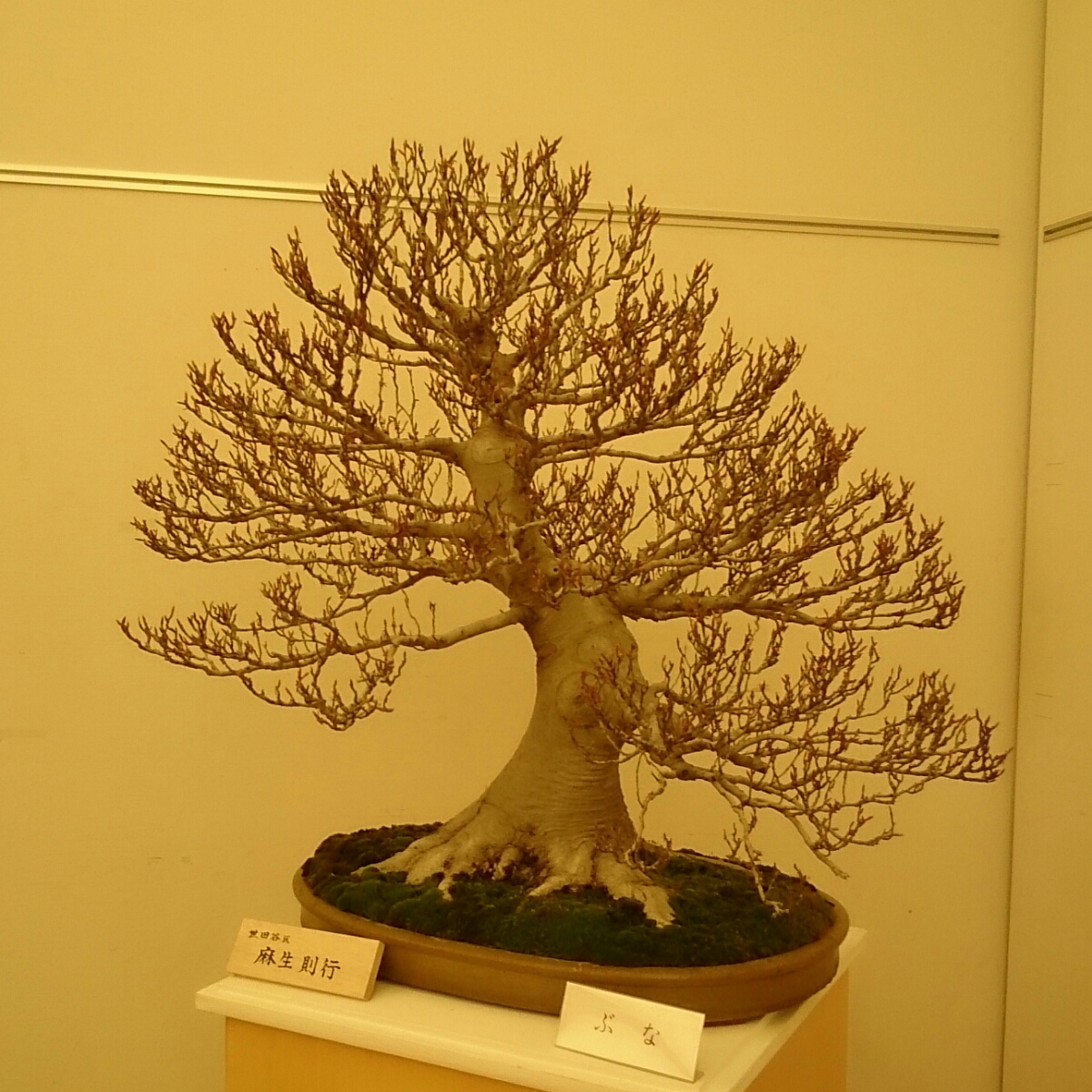 f:id:jerich:20180403001933j:plain