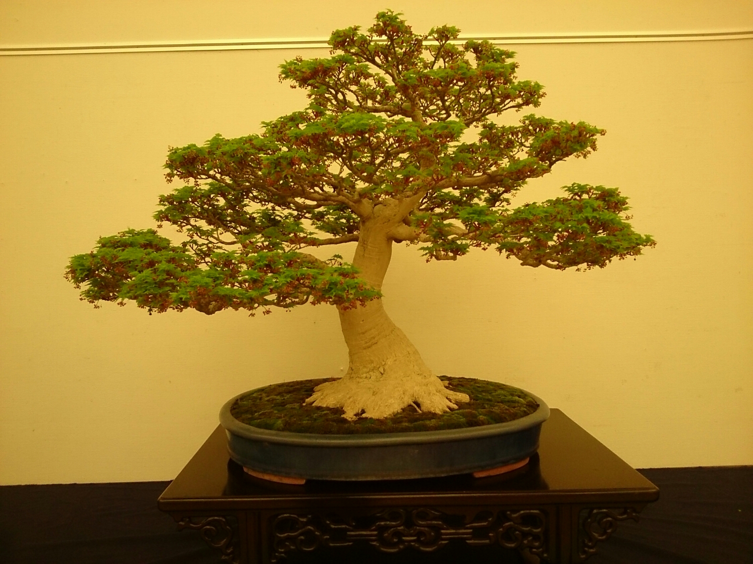 f:id:jerich:20180403001944j:plain