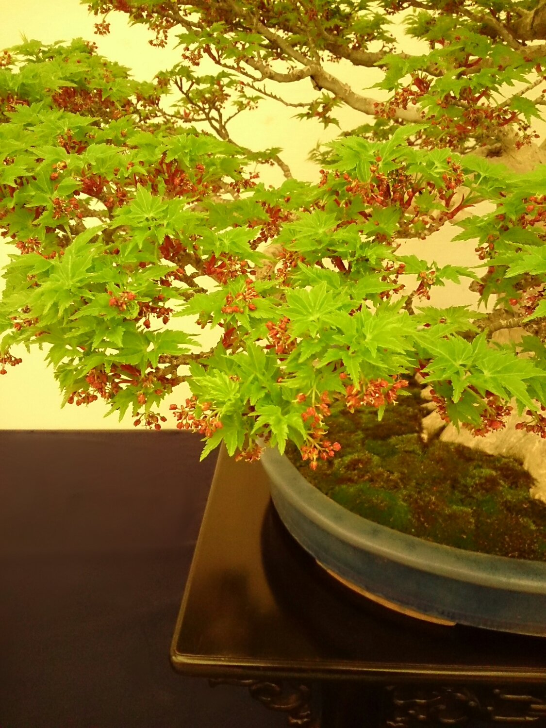 f:id:jerich:20180403001948j:plain