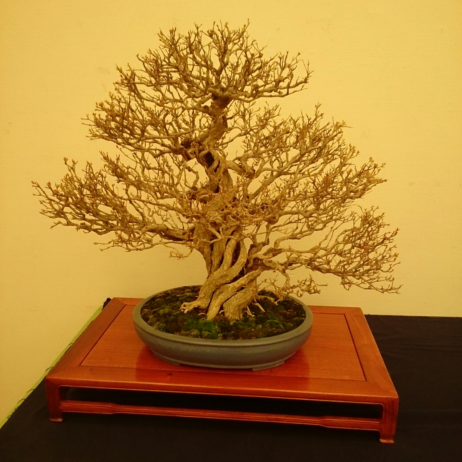 f:id:jerich:20180403002846j:plain