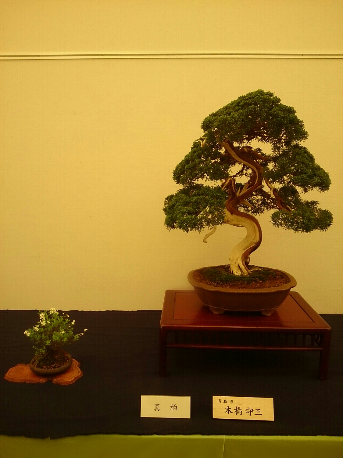 f:id:jerich:20180403002851j:plain