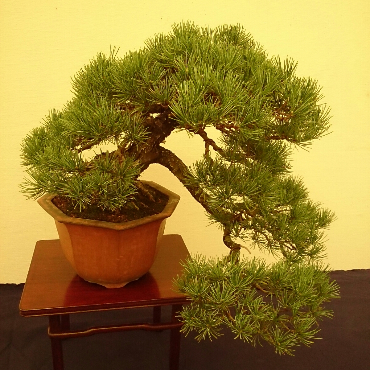 f:id:jerich:20180403002854j:plain