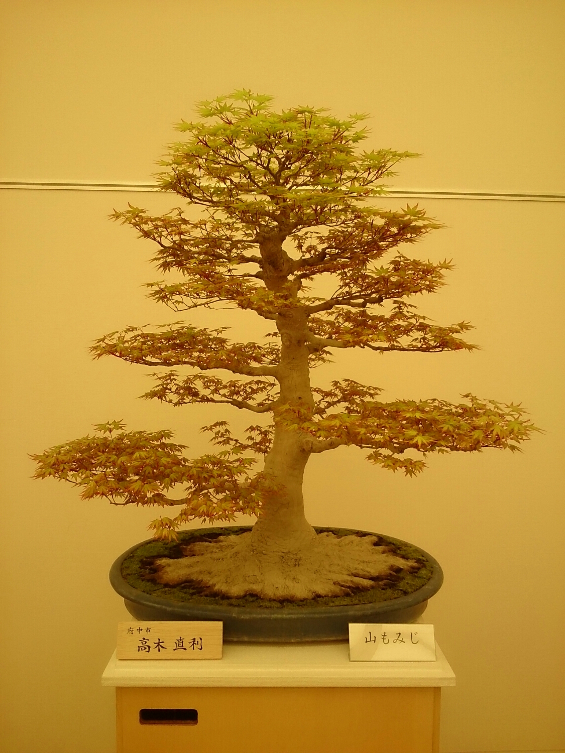 f:id:jerich:20180403003355j:plain