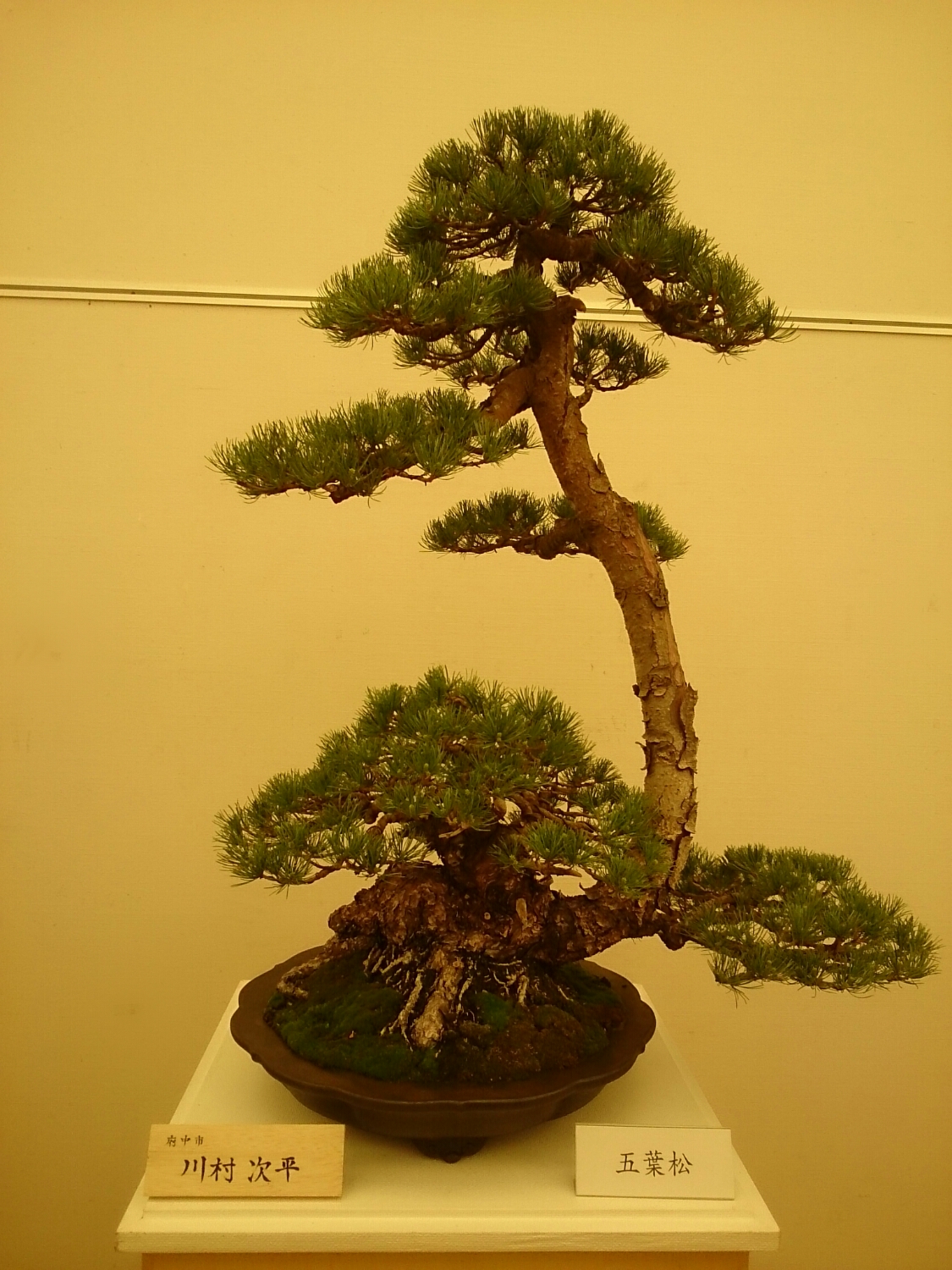 f:id:jerich:20180403003406j:plain