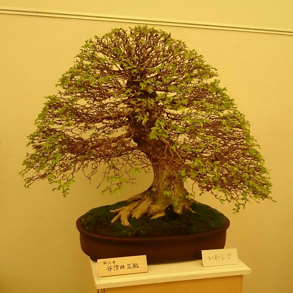 f:id:jerich:20180403003410j:plain