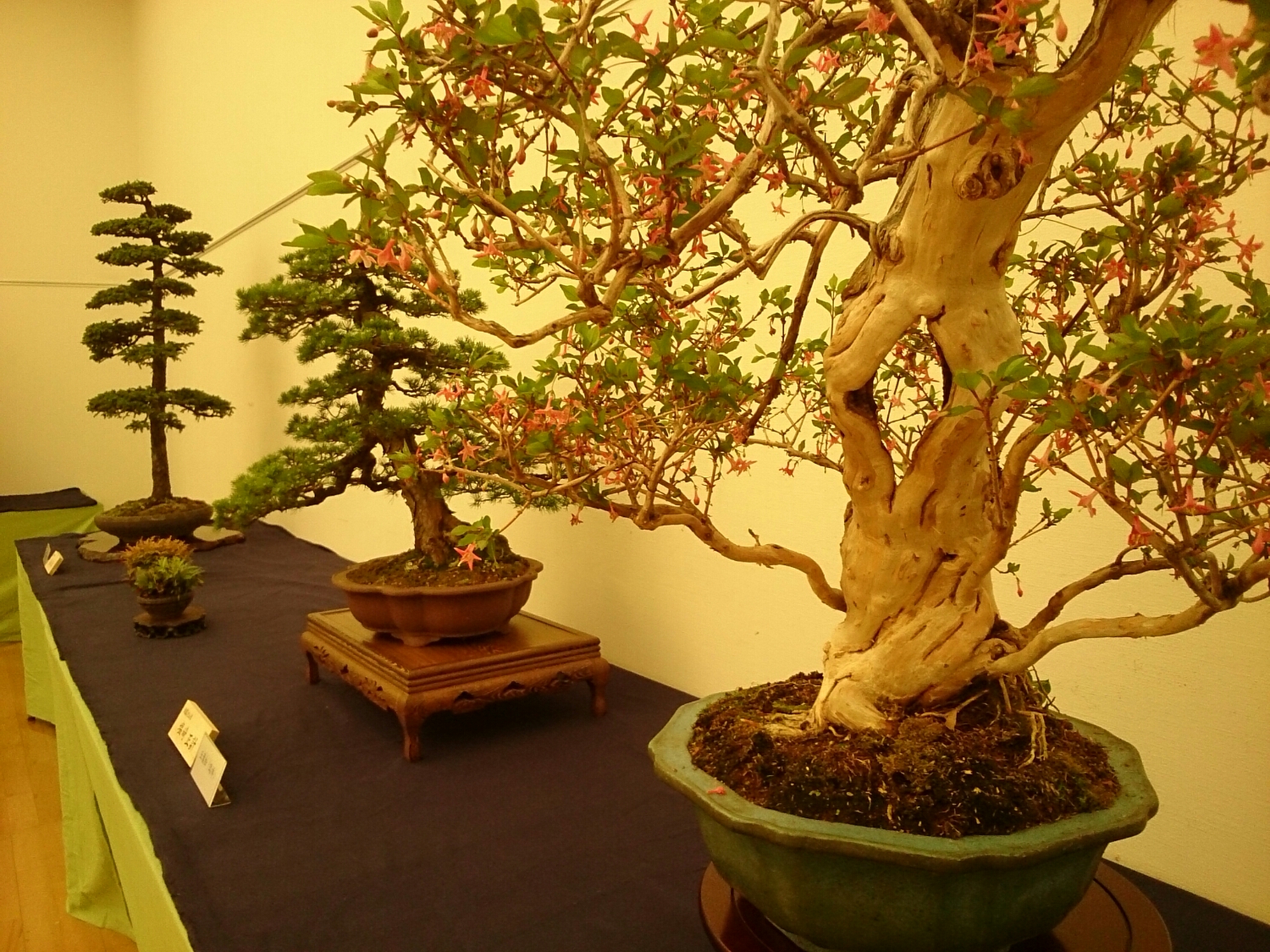 f:id:jerich:20180403003643j:plain