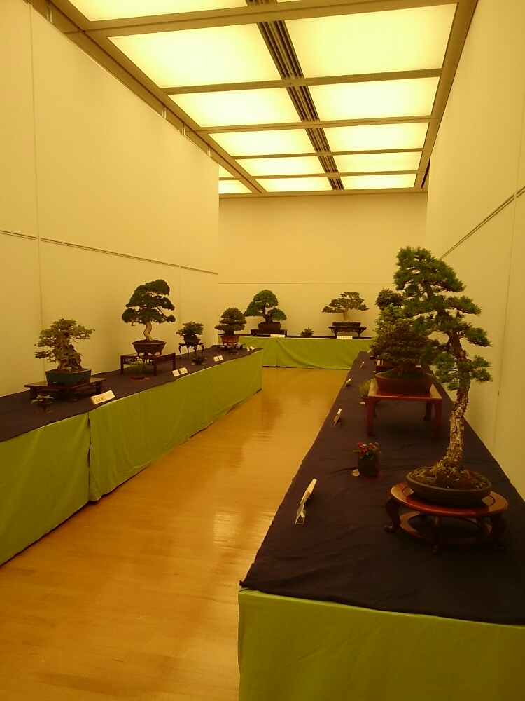 f:id:jerich:20180403003646j:plain