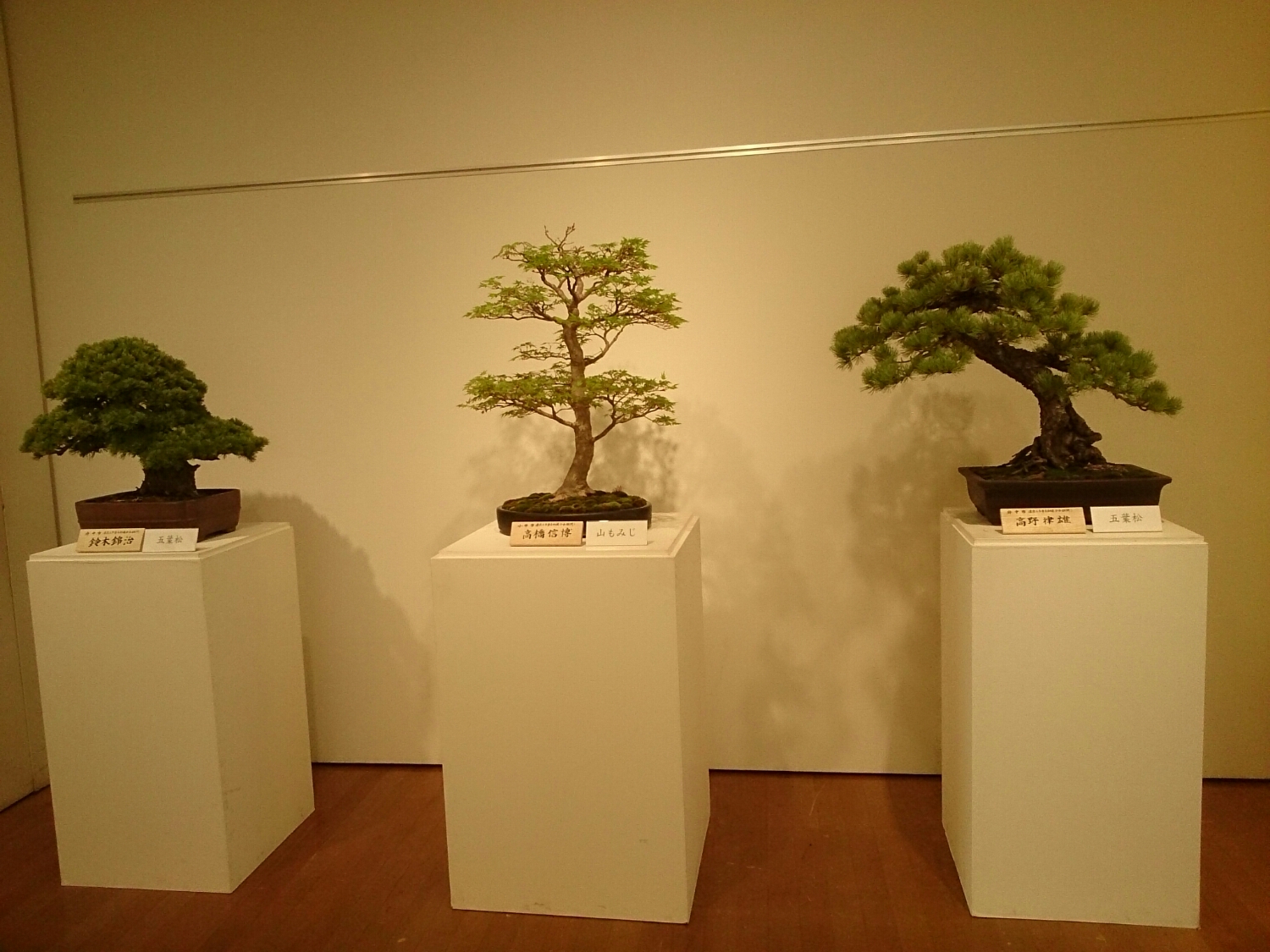 f:id:jerich:20180403003653j:plain