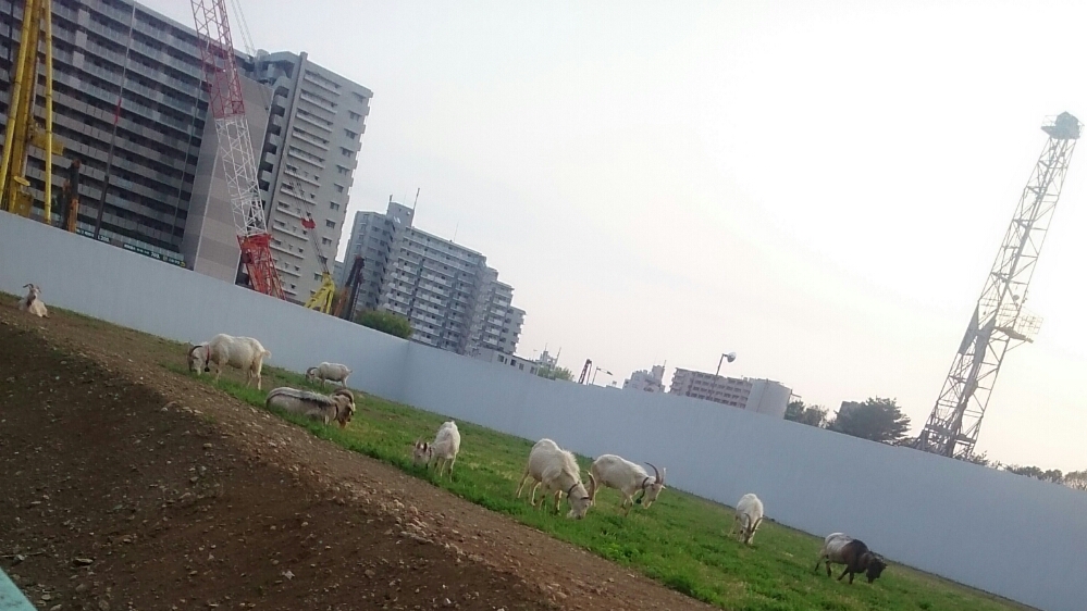 f:id:jerich:20180403235148j:plain