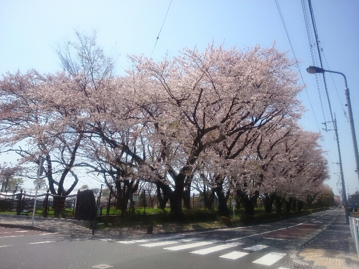 f:id:jerich:20180404231823j:plain