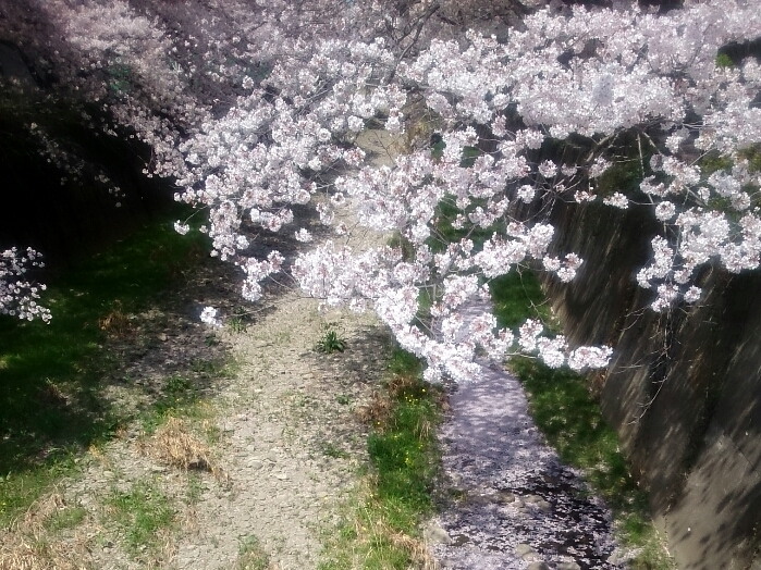 f:id:jerich:20180404231826j:plain
