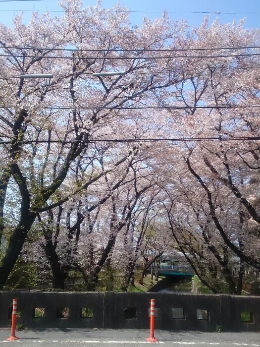 f:id:jerich:20180404231836j:plain