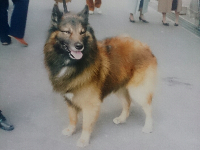 f:id:jerich:20180411234639j:plain