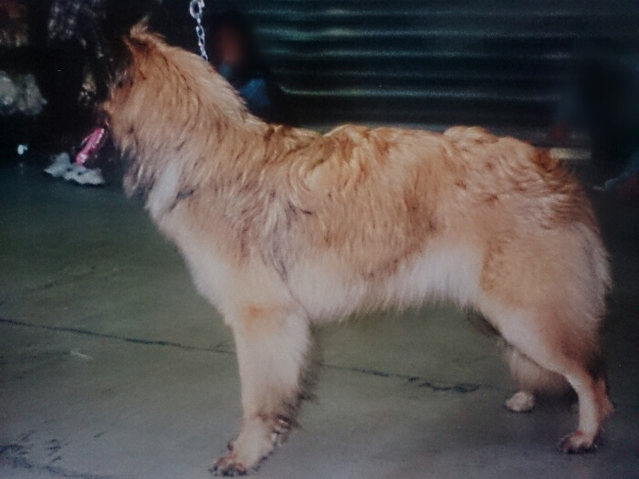 f:id:jerich:20180411234642j:plain