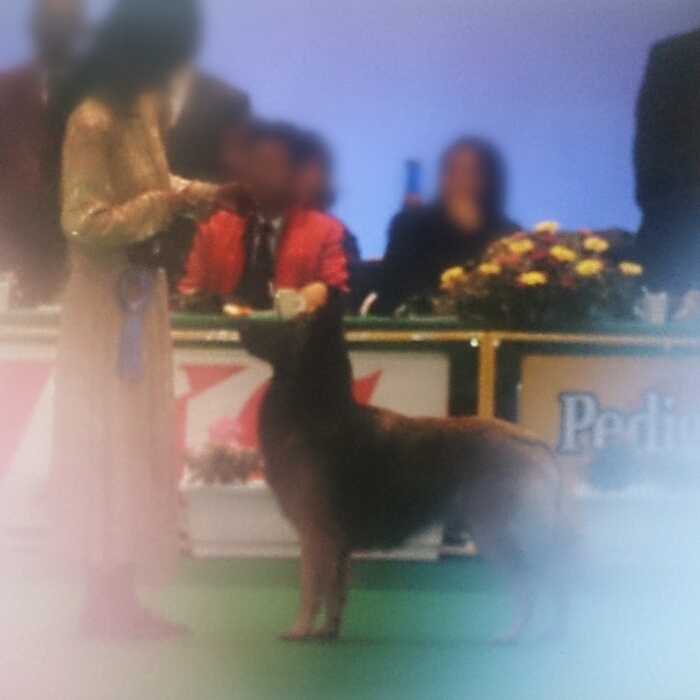 f:id:jerich:20180411234649j:plain