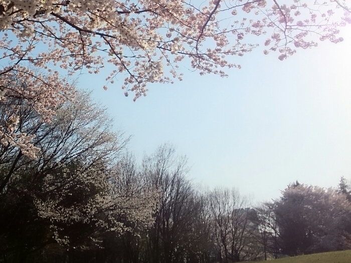 f:id:jerich:20180416230545j:plain