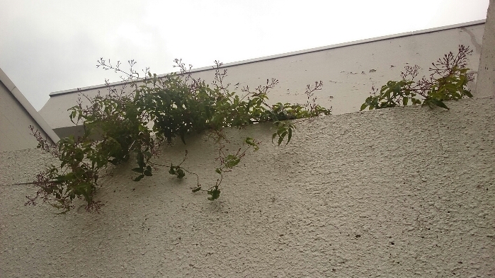 f:id:jerich:20180417232045j:plain